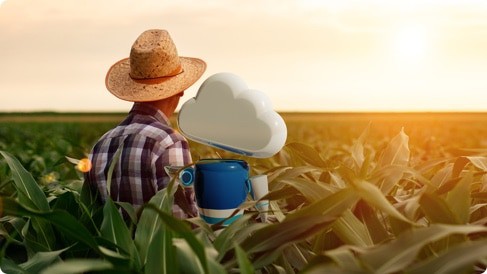 a farmer in the fild - irrigation